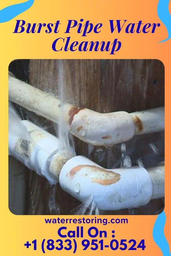 Burst Pipe Water Cleanup in Lake in the Hills, IL