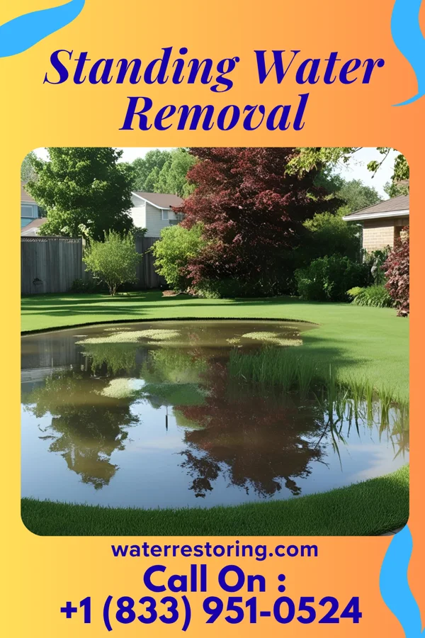 Standing Water Removal in Lake in the Hills, IL